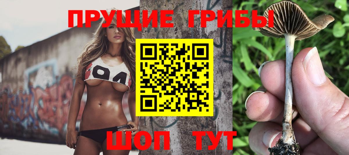 Псилоцибиновые грибы мицелий  Вход с VPN  Полысаево 